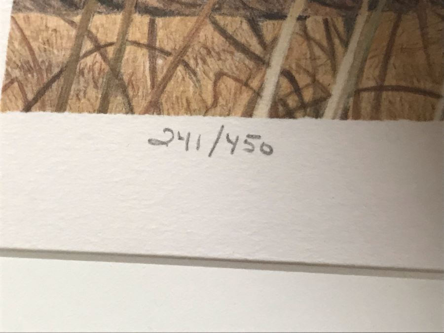 Hand Signed Mylar Lithograph Titled 'Cape Thunder' By Daniel Smith 16 X 25 [Photo 9]