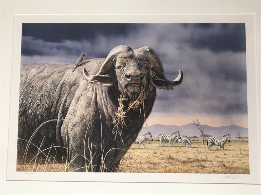 Hand Signed Mylar Lithograph Titled 'Cape Thunder' By Daniel Smith 16 X 25 [Photo 3]