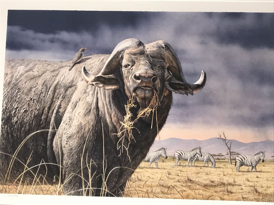 Hand Signed Mylar Lithograph Titled 'Cape Thunder' By Daniel Smith 16 X 25 [Photo 4]