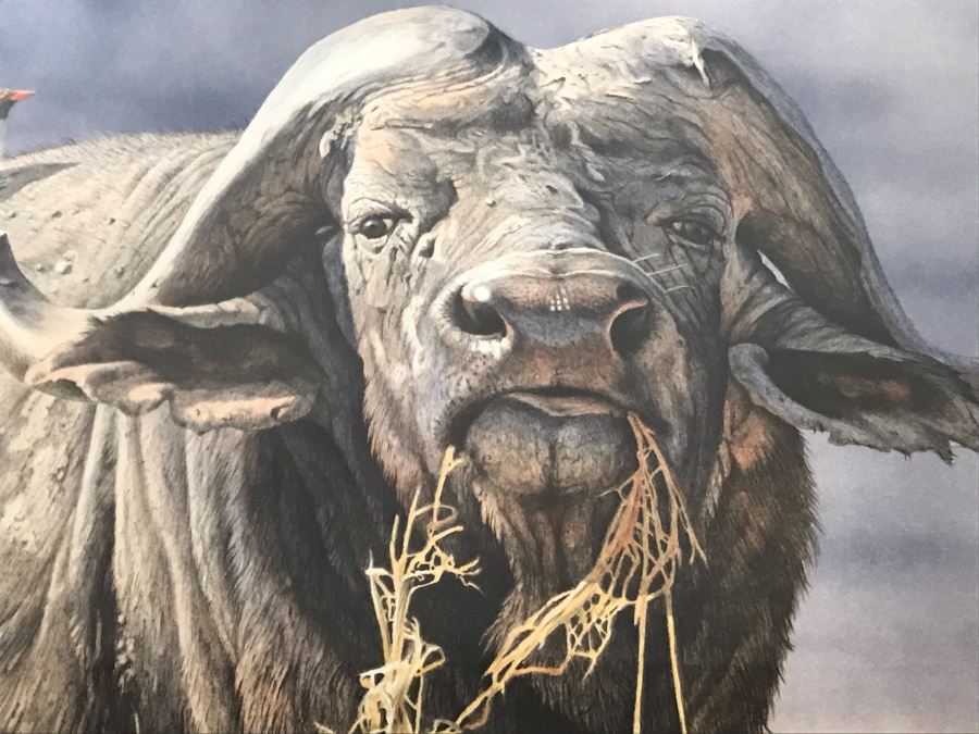 Hand Signed Mylar Lithograph Titled 'Cape Thunder' By Daniel Smith 16 X 25 [Photo 6]