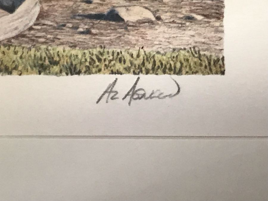 Hand Signed Mylar Lithograph Titled 'Cheetah Domain' By Al Agnew 18 X 23 [Photo 7]