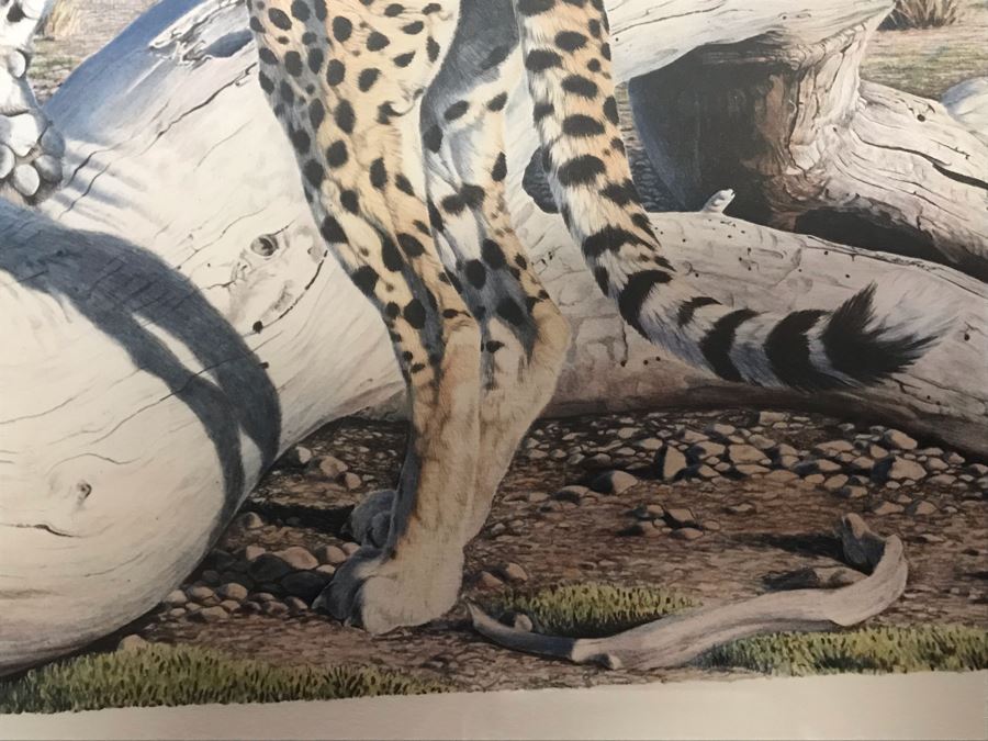 Hand Signed Mylar Lithograph Titled 'Cheetah Domain' By Al Agnew 18 X 23 [Photo 5]