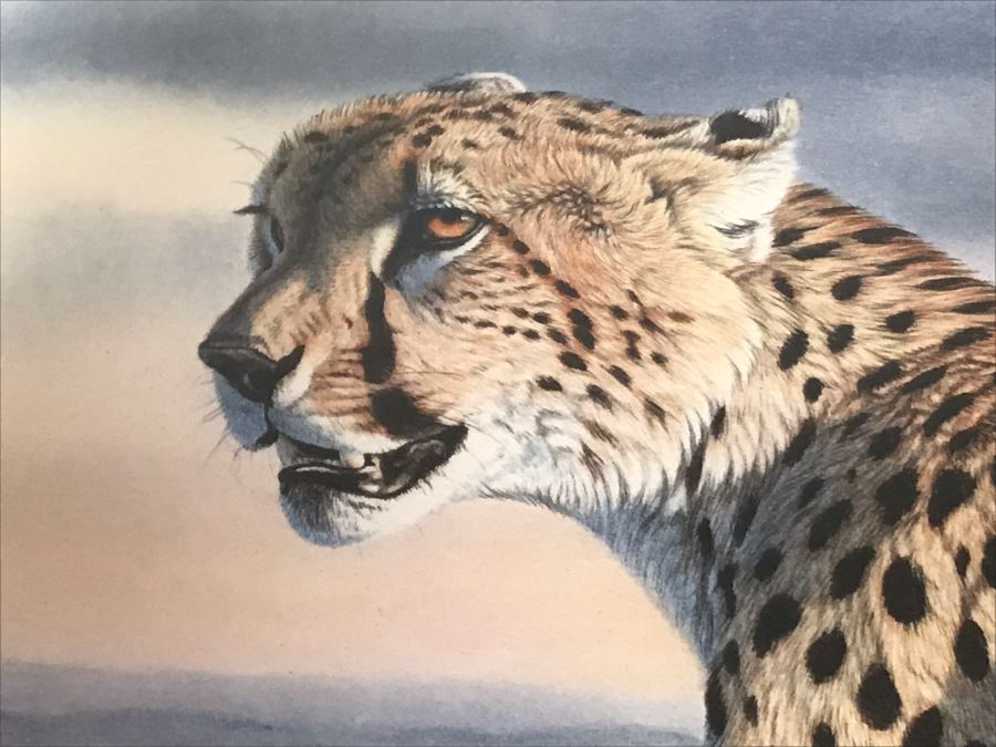 Hand Signed Mylar Lithograph Titled 'Cheetah Domain' By Al Agnew 18 X 23 [Photo 3]