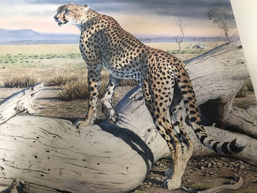 Hand Signed Mylar Lithograph Titled 'Cheetah Domain' By Al Agnew 18 X 23 [Photo 4]