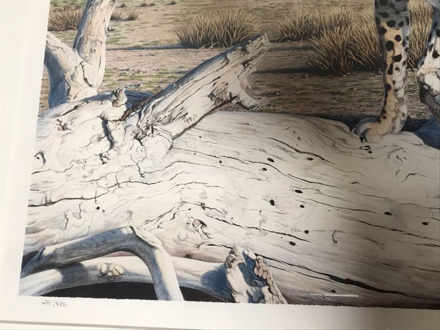 Hand Signed Mylar Lithograph Titled 'Cheetah Domain' By Al Agnew 18 X 23 [Photo 9]