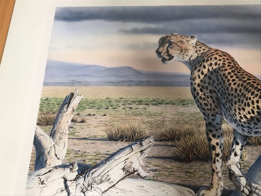 Hand Signed Mylar Lithograph Titled 'Cheetah Domain' By Al Agnew 18 X 23 [Photo 10]
