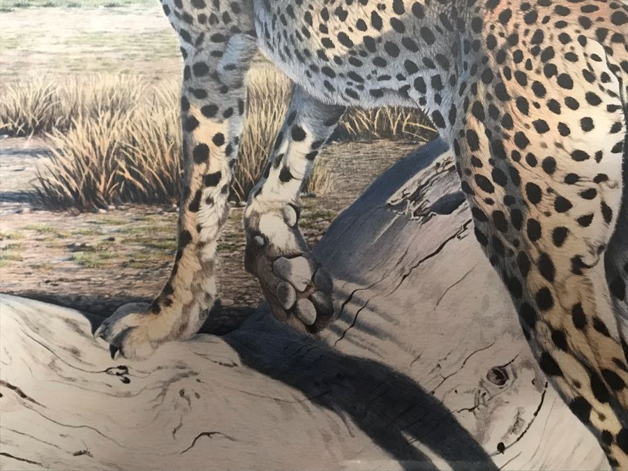 Hand Signed Mylar Lithograph Titled 'Cheetah Domain' By Al Agnew 18 X 23 [Photo 6]