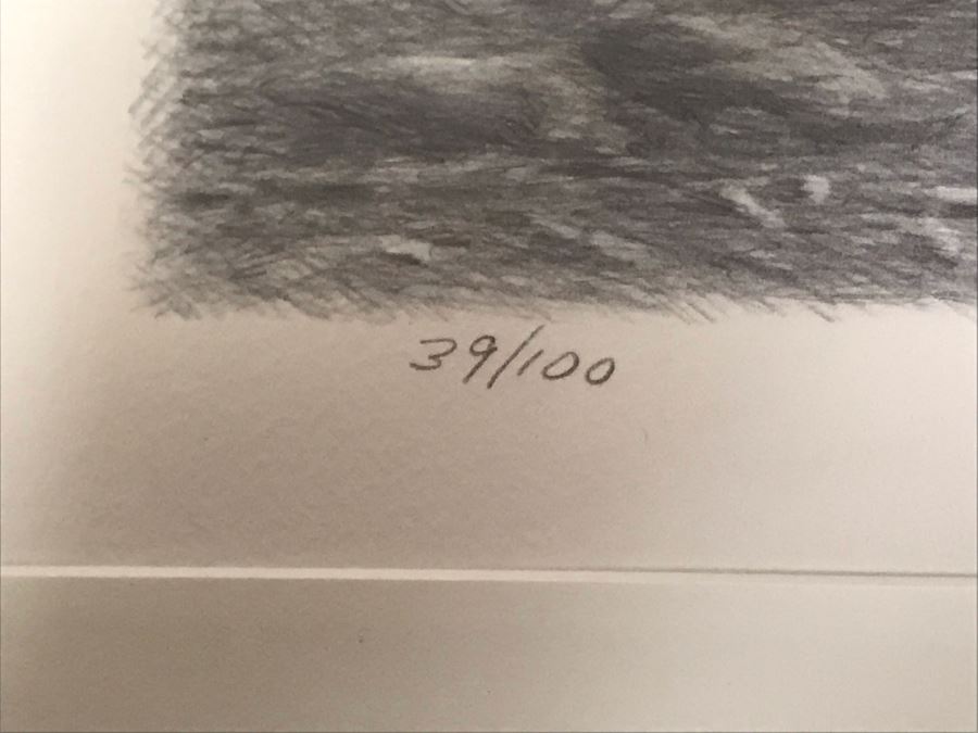 Hand Signed Mylar Lithograph Titled 'Duma II' By Dennis Curry 18 X 10 [Photo 7]