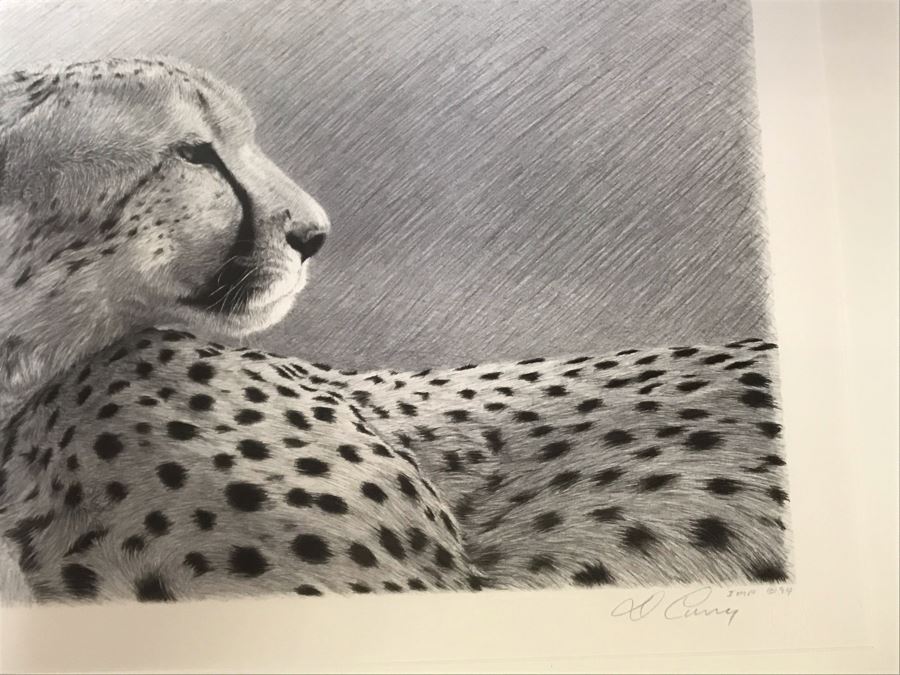 Hand Signed Mylar Lithograph Titled 'Duma II' By Dennis Curry 18 X 10 [Photo 5]