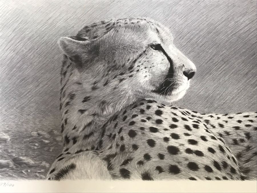 Hand Signed Mylar Lithograph Titled 'Duma II' By Dennis Curry 18 X 10 [Photo 4]