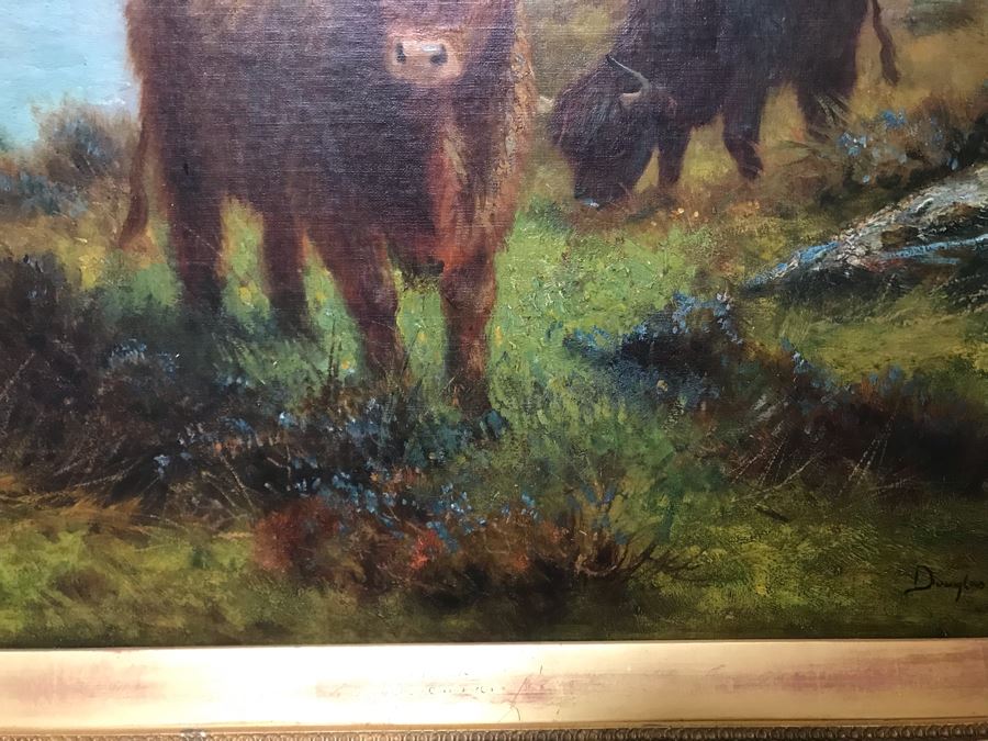 JUST ADDED - Large Original Oil Painting Of Cattle By Douglas Cameron In Stunning Gilded Frame 30 X 20 [Photo 13]