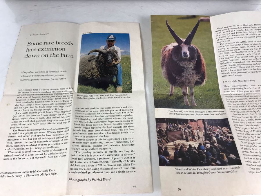 JUST ADDED - Original Antique Painting Of Highlands Sheep By John W Morris J W Morris In Antique Gilded Frame 10 X 12 [Photo 18]