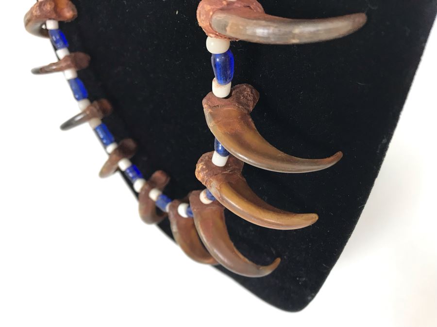 Sterling Silver, Turquoise, Shell, (14) Bear Claws Necklace [Photo 5]