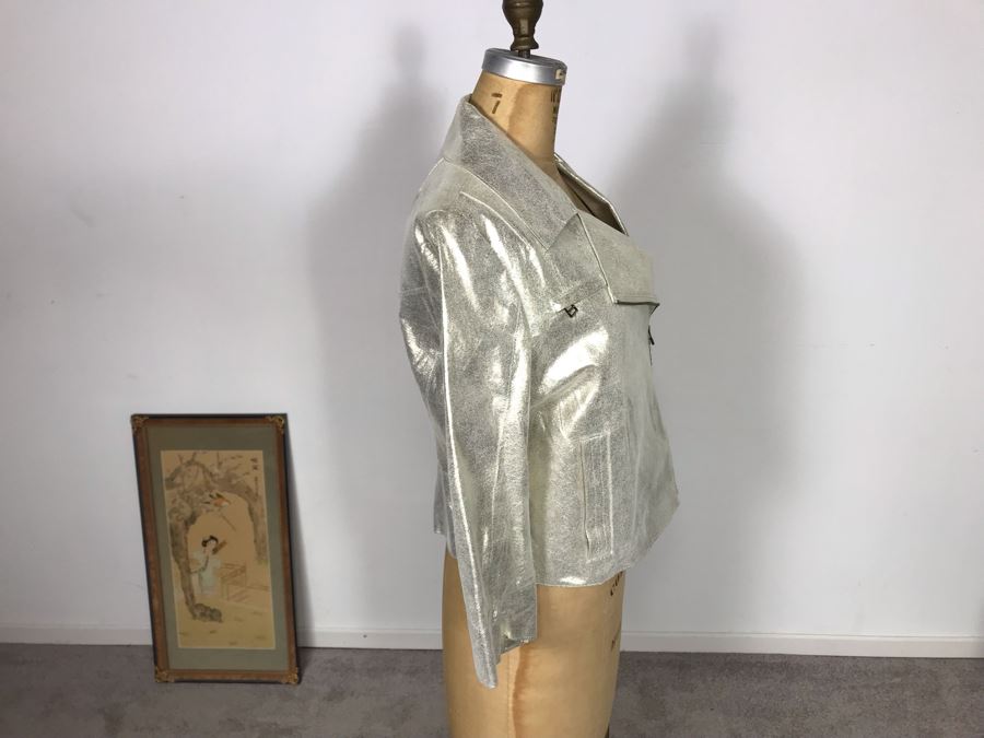 Robert Rodriguez Metallic Motorcycle Leather Jacket Size 6 [Photo 4]