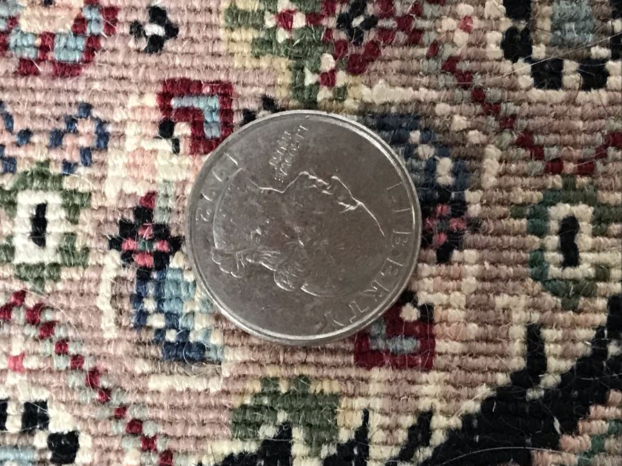 Stunning Finely Knotted Detailed Persian Area Rug (324 Knots Per Square Inch) 46 X 72 (JUST ADDED) [Photo 18]