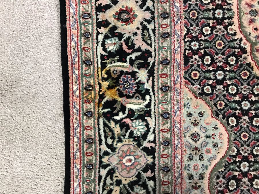 Stunning Finely Knotted Detailed Persian Area Rug (324 Knots Per Square Inch) 46 X 72 (JUST ADDED)