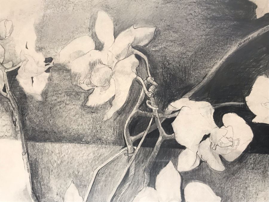John Lincoln Original Large Drawing Of Orchids Plants Signed Middle Bottom 34W X 30H (JUST ADDED) [Photo 5]