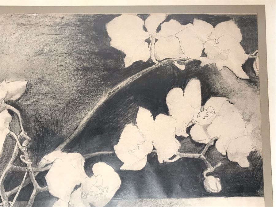 John Lincoln Original Large Drawing Of Orchids Plants Signed Middle Bottom 34W X 30H (JUST ADDED) [Photo 4]
