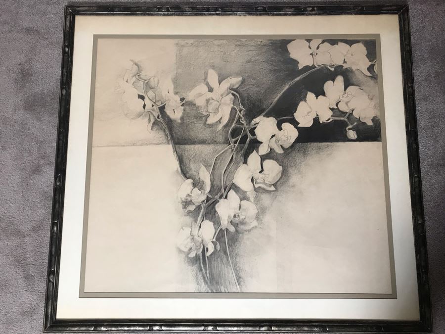 John Lincoln Original Large Drawing Of Orchids Plants Signed Middle Bottom 34W X 30H (JUST ADDED) [Photo 2]