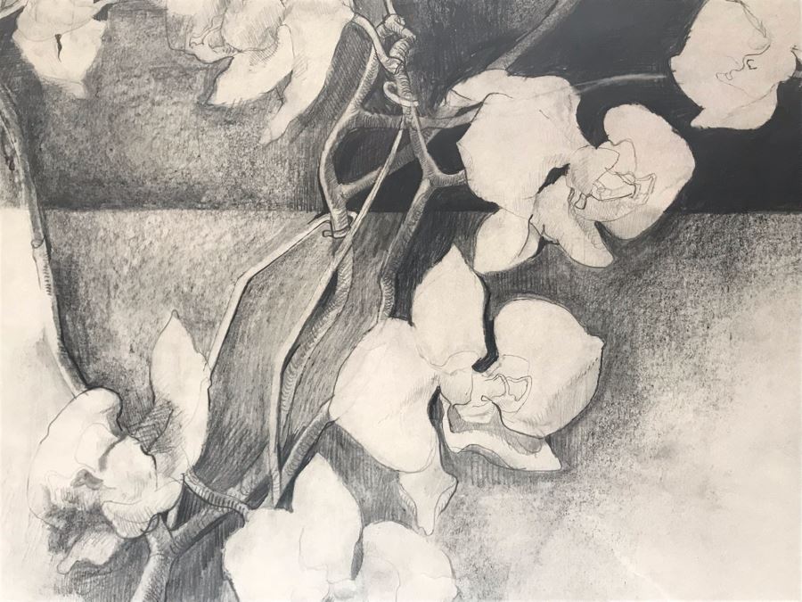 John Lincoln Original Large Drawing Of Orchids Plants Signed Middle Bottom 34W X 30H (JUST ADDED) [Photo 7]