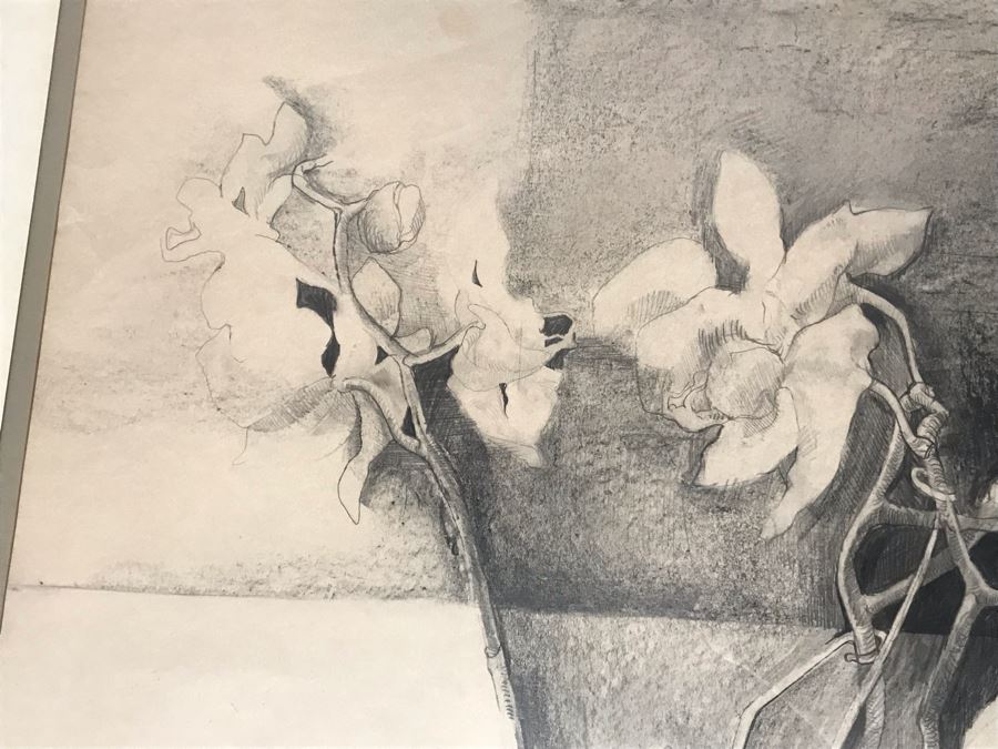 John Lincoln Original Large Drawing Of Orchids Plants Signed Middle Bottom 34W X 30H (JUST ADDED) [Photo 6]