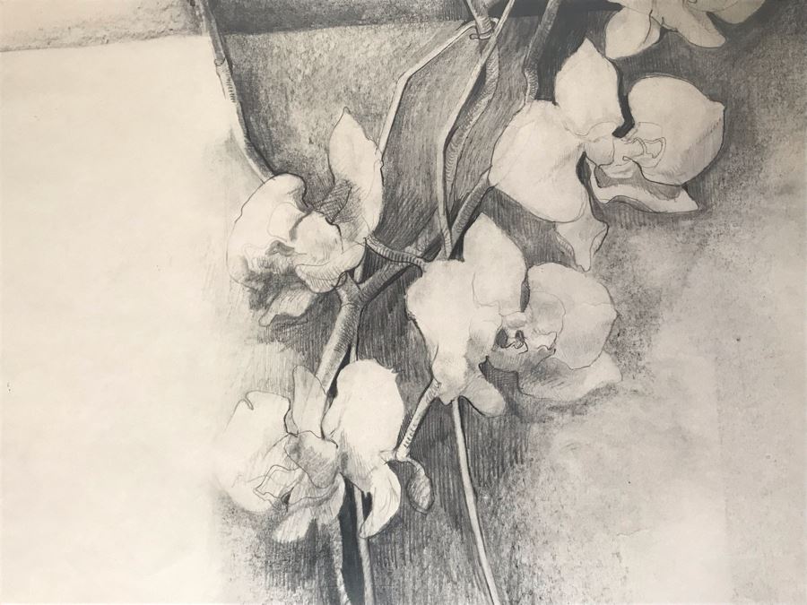 John Lincoln Original Large Drawing Of Orchids Plants Signed Middle Bottom 34W X 30H (JUST ADDED) [Photo 8]