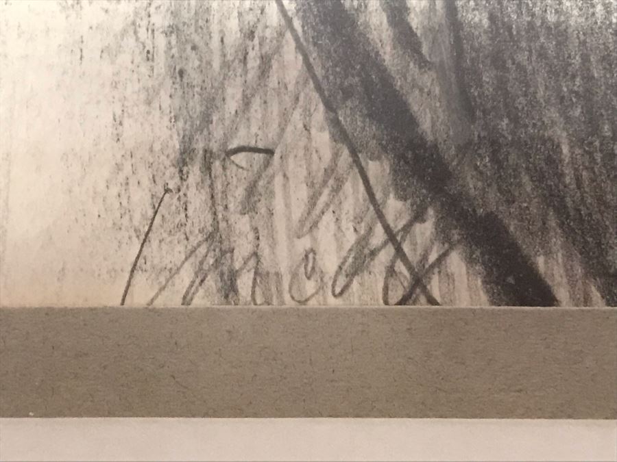 John Lincoln Original Large Drawing Of Orchids Plants Signed Middle Bottom 34W X 30H (JUST ADDED) [Photo 9]