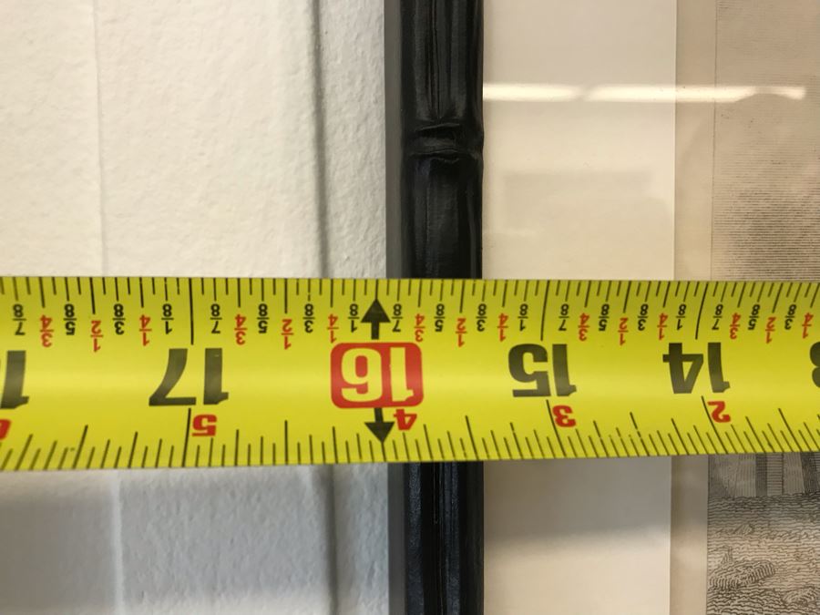 Flamingo Art Print In Bamboo Motif Black Frame 16W X 24H Retails $382 [Photo 9]