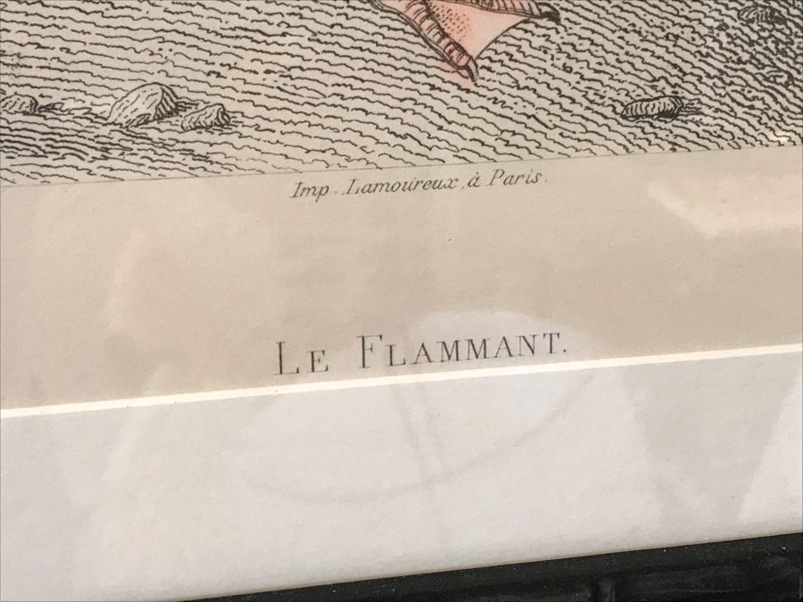 Flamingo Art Print In Bamboo Motif Black Frame 16W X 24H Retails $382 [Photo 5]