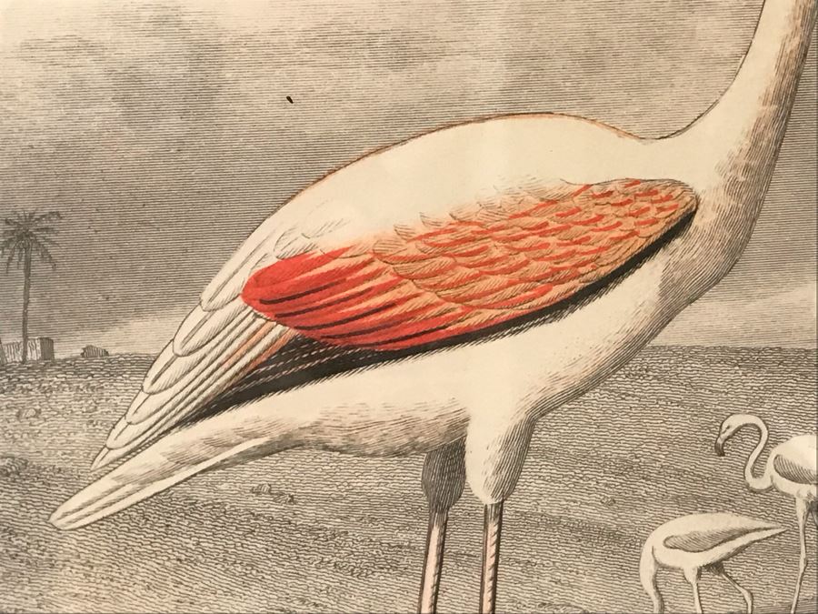 Flamingo Art Print In Bamboo Motif Black Frame 16W X 24H Retails $382 [Photo 3]