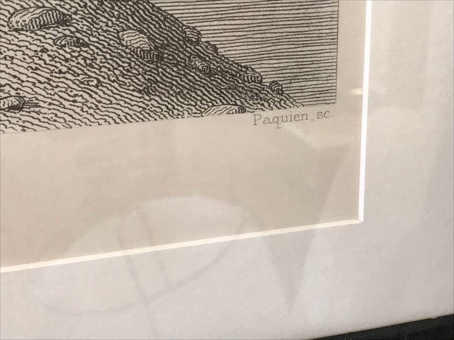 Flamingo Art Print In Bamboo Motif Black Frame 16W X 24H Retails $382 [Photo 7]