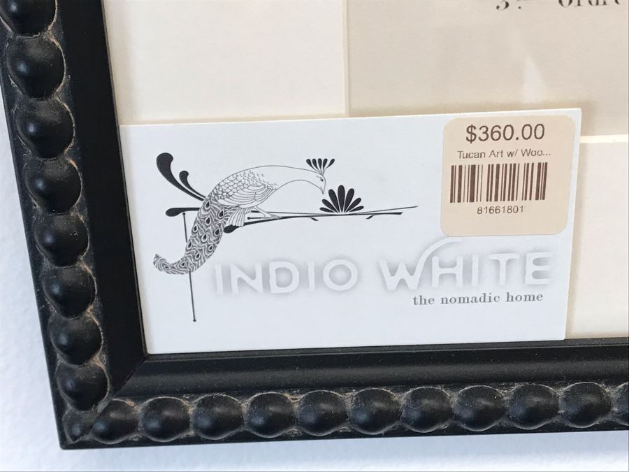 Tucan Art Print In Black Frame 16W X 24H Retails $360 [Photo 6]