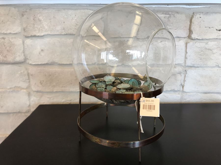 Glass Terrarium With Metal Stand And Collection Of Organic Shells 7W X 10H Retails $65 [Photo 1]