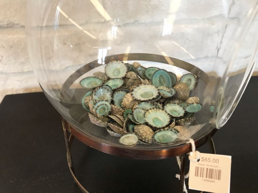 Glass Terrarium With Metal Stand And Collection Of Organic Shells 7W X 10H Retails $65 [Photo 4]