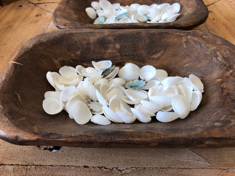 Pair Of Hand Carved Wooden Bowls Filled With Natural Seashells 9.5W X 6D X 2H Retails $70 [Photo 5]