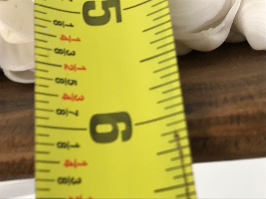 Pair Of Abolone Shell Bowls 12W X 6D And Hand Carved Wooden Bowl 10W X 6D Filled With Natural Shells Retails $120 [Photo 12]