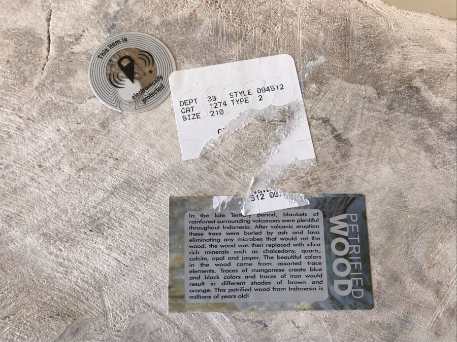 Antique Natural Petrified Wood Bowl 10W X 9D X 2H [Photo 10]