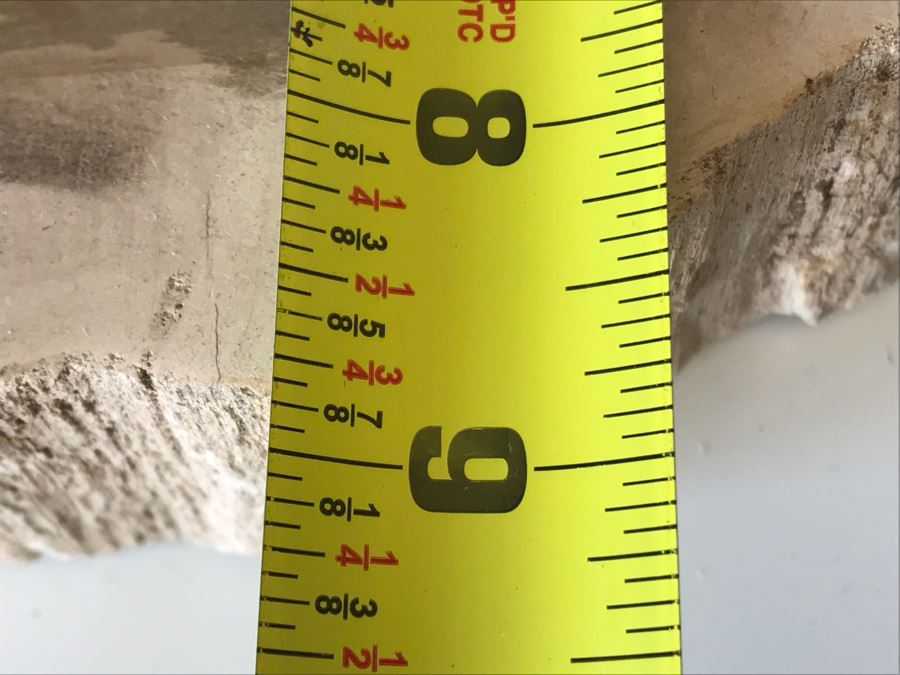 Antique Natural Petrified Wood Bowl 10W X 9D X 2H [Photo 13]