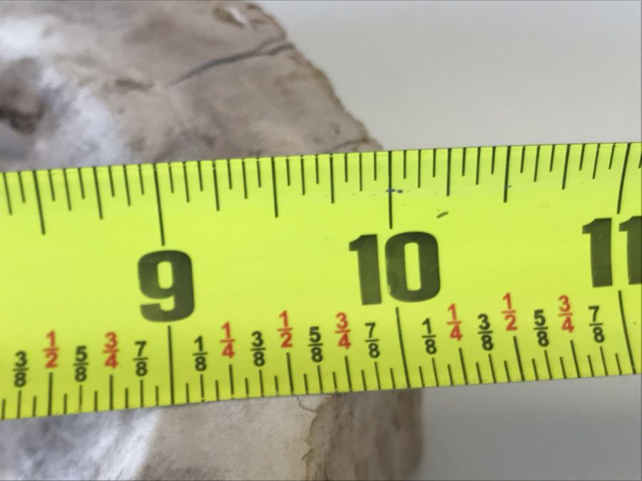 Antique Natural Petrified Wood Bowl 10W X 9D X 2H [Photo 12]