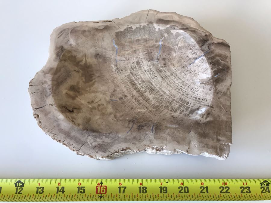 Antique Natural Petrified Wood Bowl 10W X 9D X 2H [Photo 7]