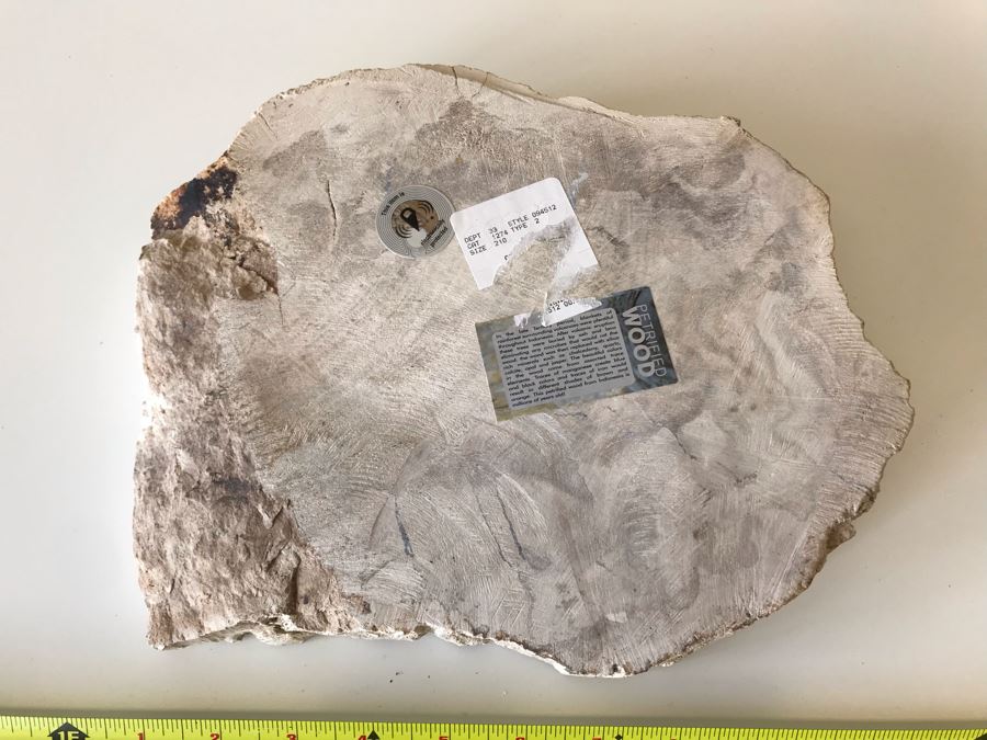 Antique Natural Petrified Wood Bowl 10W X 9D X 2H [Photo 9]