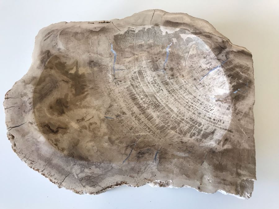 Antique Natural Petrified Wood Bowl 10W X 9D X 2H [Photo 3]