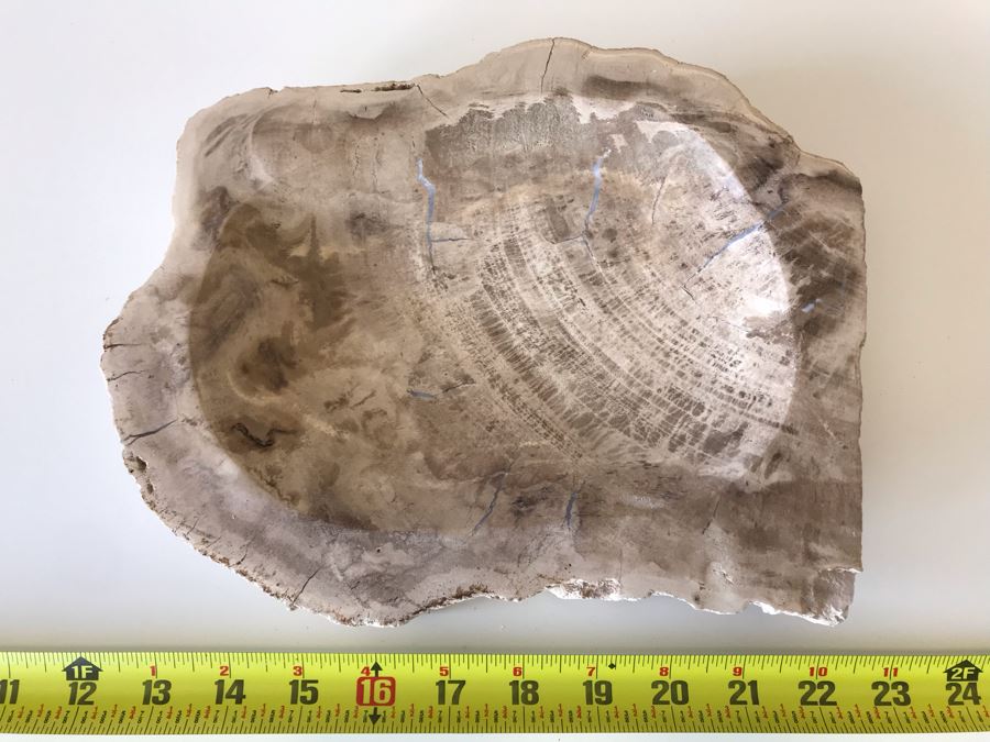 Antique Natural Petrified Wood Bowl 10W X 9D X 2H [Photo 8]