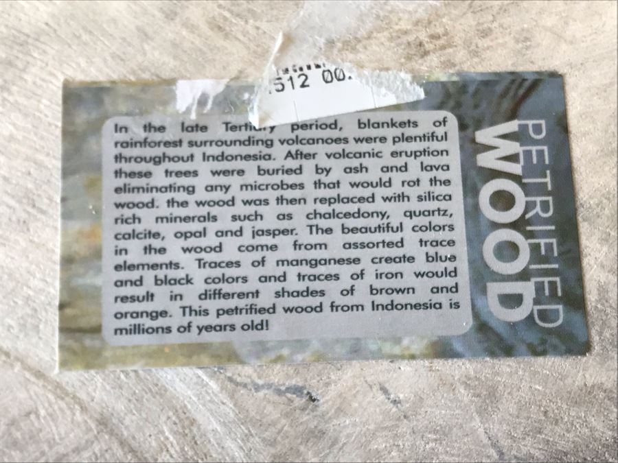 Antique Natural Petrified Wood Bowl 10W X 9D X 2H [Photo 11]