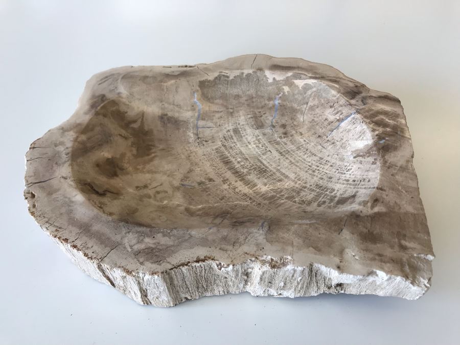 Antique Natural Petrified Wood Bowl 10W X 9D X 2H [Photo 2]