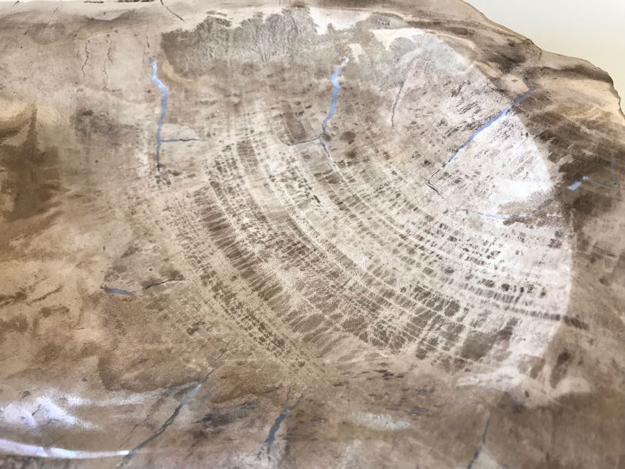 Antique Natural Petrified Wood Bowl 10W X 9D X 2H [Photo 4]