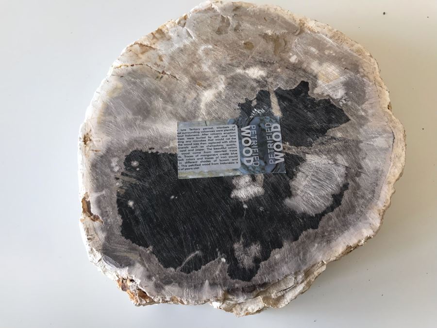 Antique Natural Petrified Wood Bowl 8W X 7D X 2H [Photo 9]