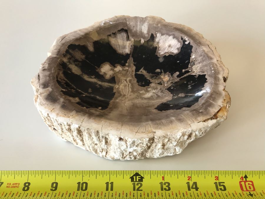 Antique Natural Petrified Wood Bowl 8W X 7D X 2H [Photo 2]