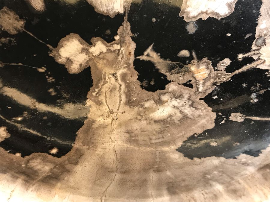 Antique Natural Petrified Wood Bowl 8W X 7D X 2H [Photo 5]