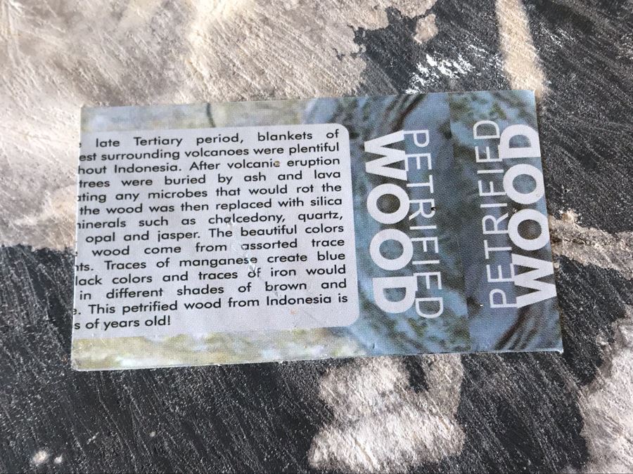 Antique Natural Petrified Wood Bowl 8W X 7D X 2H [Photo 10]